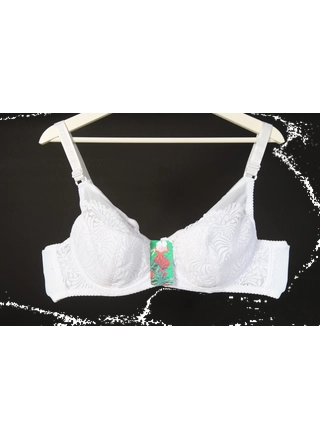 Фото Biweier Бюстгальтер женский *F* BIWEIER 13632  1,2 (16631) – Чашка F, цвет <color>, цена 122.10<currency>