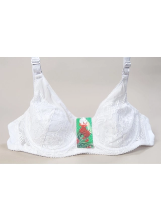 Фото Biweier Жіночий бюстгальтер *F* BIWEIER 13623 1,2 (13808) – Чашка F, колір <color>, ціна 119.57<currency>