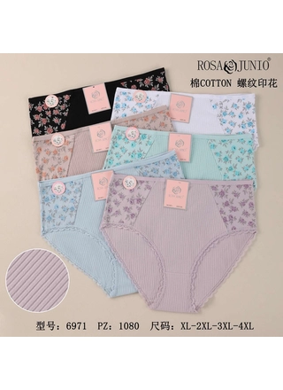 Фото Rosa Junio Труси жіночі ROSA JUNIO 6971 11д Різні кольори (23232) – Батальні розміри, колір <color>, ціна 47.21<currency>