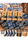 Зима Чоловічі зимові шкарпетки з вовною альпаки ALASKA D&A ALM12 Різні кольори - жіноча білизна оптом у Dolche Noche