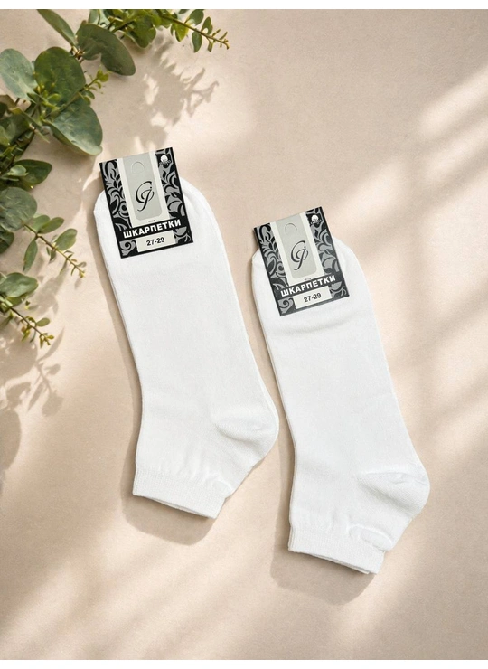 Шкарпетки чоловічі СІ 27-29 (2408) Білий - магазин нижнего белья оптом Dolche Noche