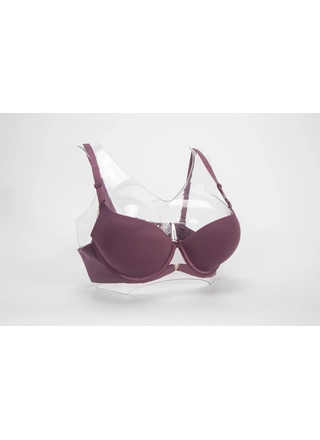 Фото Biweier Бюстгальтер *B* BIWEIER 31355 16,2 (4352) – З пуш-ап, колір <color>, ціна 152.90<currency>