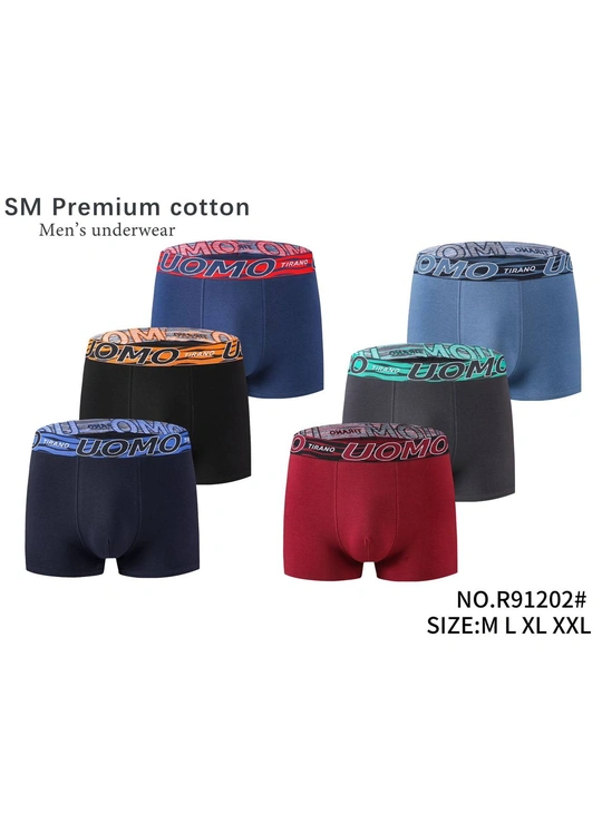 Труси чоловічі SM Premium cotton 91202 - магазин нижнего белья оптом Dolche Noche