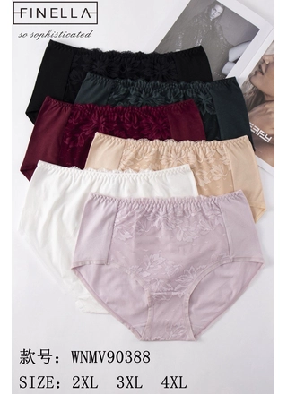 Фото FINELLA Жіночі труси FINELLA 90388   12д (22976) – Батальні розміри, колір <color>, ціна 75.52<currency>